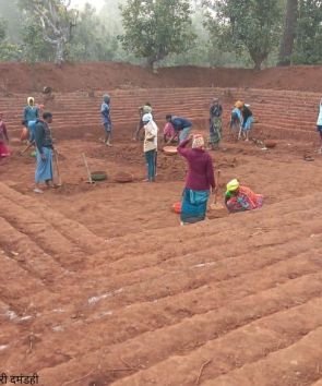 जल संरक्षण से आजीविका तक: छत्तीसगढ़ में ‘आजीविका डबरी’ अभियान बना ग्रामीण बदलाव की धुरी…..