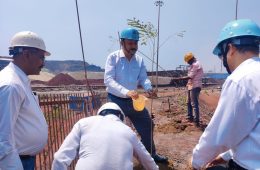 Tree-Plantation-OHP-2.jpeg