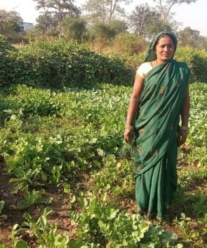 मुख्यमंत्री विष्णु देव साय के सुशासन में महिलाओं को मिला आत्मनिर्भरता का संबल, बालोद की रोहनी बनीं उद्यमिता की मिसाल….